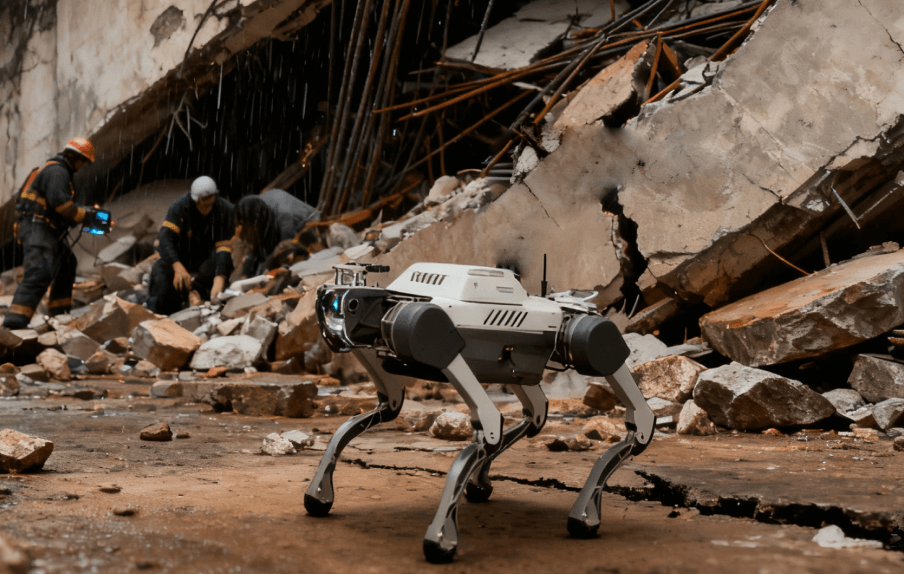 灾后救援-yl23455永利集团